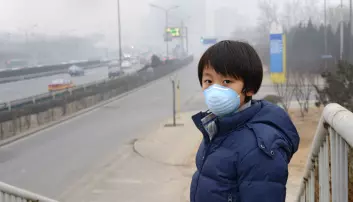 Vi kan forhindre 5,5 millioner dødsfall i året hvis vi slutter å forurense luften