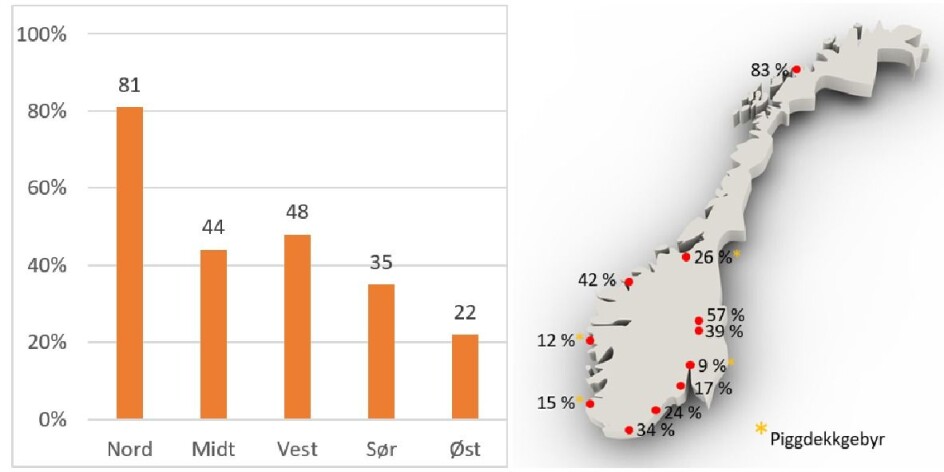 Piggdekkandeler i regioner og byer i Norge (Kilde: Statens vegvesen)