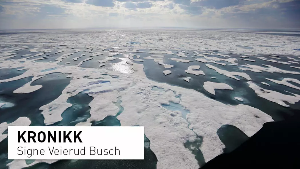 – Polhavet kan bli isfritt gjennom store deler av året. Dette aktualiserer stadig ny bruk av både havområdene og sokkelen, og legger press på de arktiske statene å forene seg om en løsning for deling og forvaltning av havbunnen, skriver kronikkforfatteren. (Foto: David Goldman / AP photo / NTB scanpix)