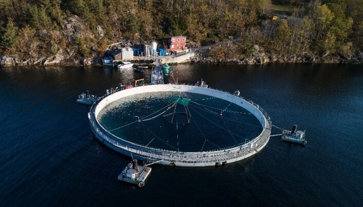Lukket merd i sjø fra Aquaform Equipment som så langt viser positive resultater i tester. Den kan på det meste romme 1 million laks opp til en kilo. (Foto: Magne Langåker/Aquafarm) Lukket merd i sjø fra Aquaform Equipment som så langt viser positive resultater i tester. Den kan på det meste romme 1 million laks opp til en kilo. (Foto: Magne Langåker/Aquafarm)
