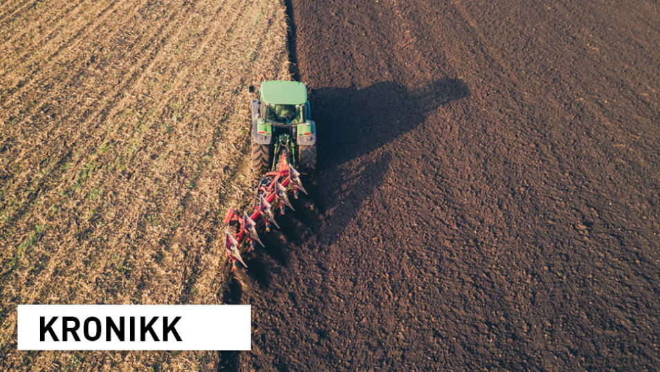 Nesten halvparten av europeisk landbruksjord har lavt innhold av organisk materiale grunnet intensivt landbruk og endringer i klima. Et utfordring er høstpløying, ifølge European Academies' Science Advisory Council. (Foto: Blazej Lyjak / Shutterstock / NTB scanpix)