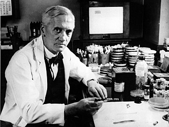 Alexander Flemings oppdagelse av penicillin startet i noen forurensede skåler. (Foto: AP / NTB Scanpix) Alexander Flemings oppdagelse av penicillin startet i noen forurensede skåler. (Foto: AP / NTB Scanpix)
