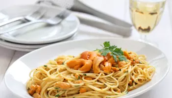 En ikke uvanlig kombinasjon er kråkebolle og pasta. (Foto: Shutterstock)