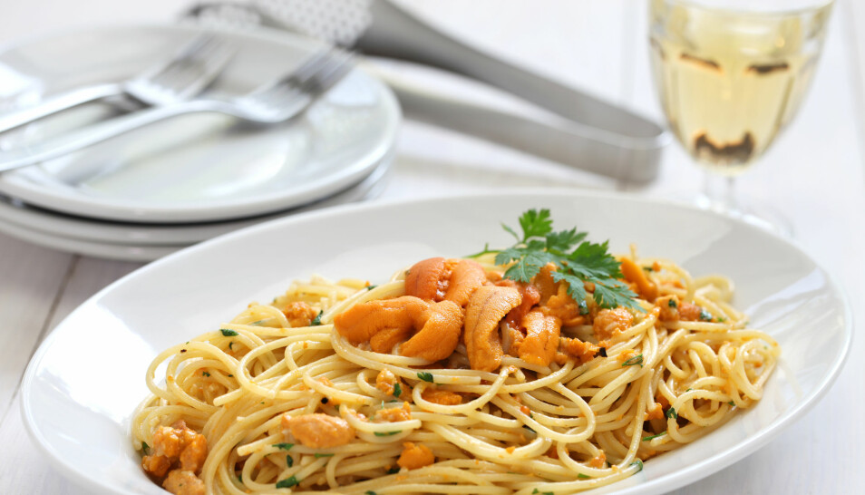 En ikke uvanlig kombinasjon er kråkebolle og pasta. (Foto: Shutterstock)