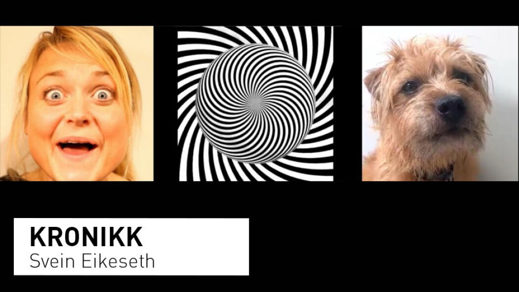 Barn med autisme valgte å se små filmer av abstrakte mønstre foran videoer av ansiktene til dyr eller mennesker. (Foto: Cathrine M. Gale, Svein Eikeseth og Lars Klintwall. «Children with Autism show Atypical Preference for Non-social Stimuli», Nature: Scientific Reports, 17. juli 2019. DOI: 10.1038/s41598-019-46705-8) Barn med autisme valgte å se små filmer av abstrakte mønstre foran videoer av ansiktene til dyr eller mennesker. (Foto: Cathrine M. Gale, Svein Eikeseth og Lars Klintwall. «Children with Autism show Atypical Preference for Non-social Stimuli», Nature: Scientific Reports, 17. juli 2019. DOI: 10.1038/s41598-019-46705-8)