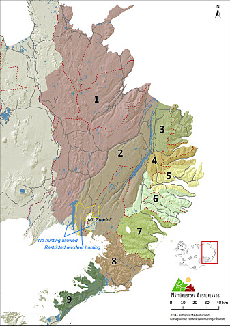 Reinen er i dag utbredt over store deler av øst-Island. (Illustrasjon: Skarphedinn G. Thorisson) Reinen er i dag utbredt over store deler av øst-Island. (Illustrasjon: Skarphedinn G. Thorisson)