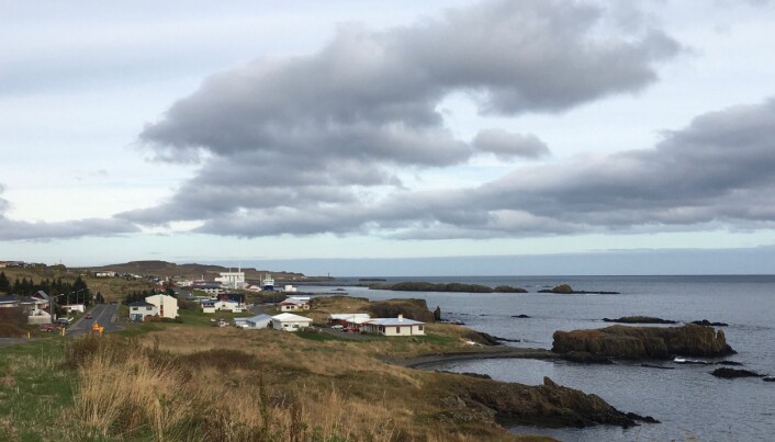 Den lille bygda Vopnafjördur, der de norske reinsdyra ble satt i land i 1787. (Foto: Morten Tryland) Den lille bygda Vopnafjördur, der de norske reinsdyra ble satt i land i 1787. (Foto: Morten Tryland)