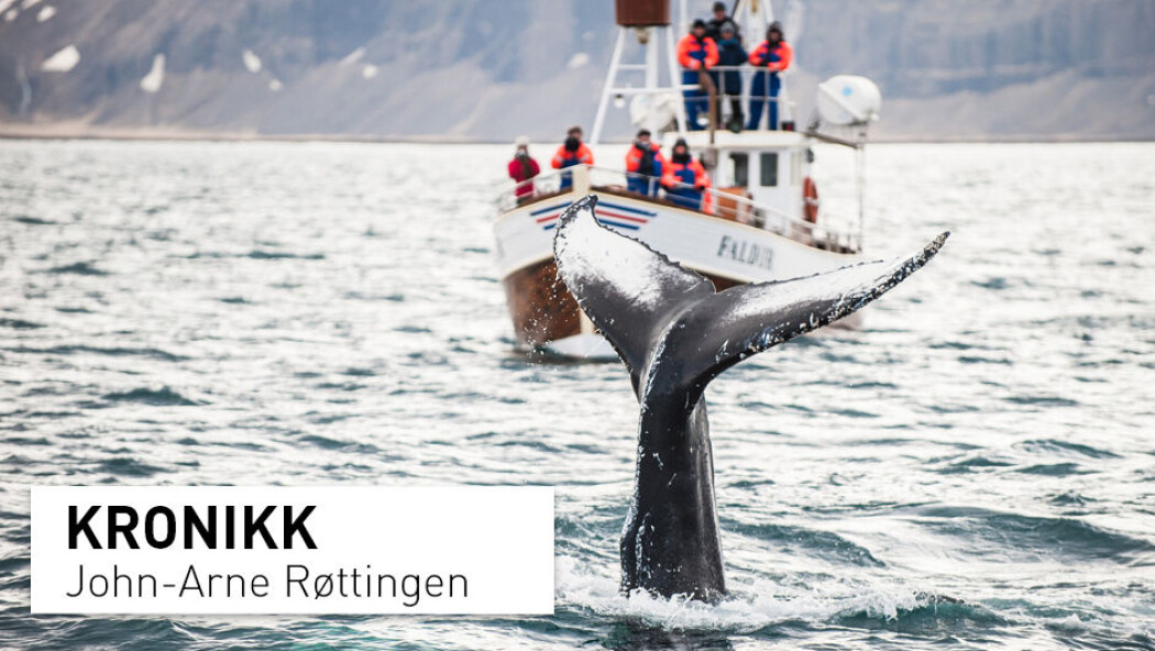 - Strengt tatt bor vi på en havklode, ikke en jordklode, skriver kronikkforfatteren. - Strengt tatt bor vi på en havklode, ikke en jordklode, skriver kronikkforfatteren.
