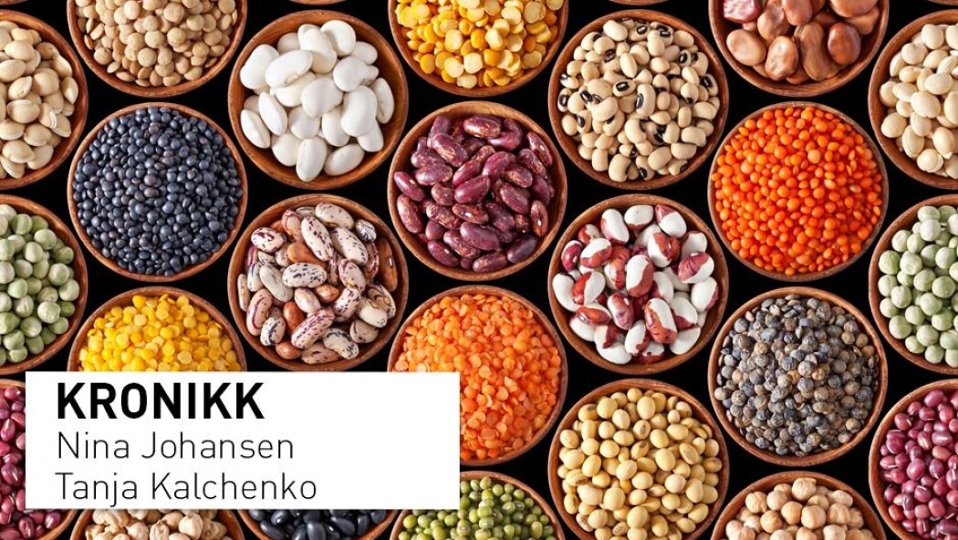 – Det er spesielt mye jern (og protein) i belgvekster som linser, bønner og soya. Inntaket av disse blant nordmenn flest har vært ganske lavt, mens veganere og vegetarianere spises belgvekster på daglig basis, skriver kronikkforfatterne. – Det er spesielt mye jern (og protein) i belgvekster som linser, bønner og soya. Inntaket av disse blant nordmenn flest har vært ganske lavt, mens veganere og vegetarianere spises belgvekster på daglig basis, skriver kronikkforfatterne.