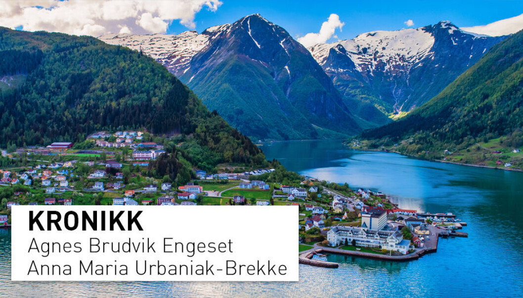 – Dei ofte godt vaksne gjestene har gjerne på førehand studert bilete og skildringar av verdas vakraste fjordar, imponerande fjell og idylliske kulturlandskap, skriv kronikkforfattarene. – Dei ofte godt vaksne gjestene har gjerne på førehand studert bilete og skildringar av verdas vakraste fjordar, imponerande fjell og idylliske kulturlandskap, skriv kronikkforfattarene.