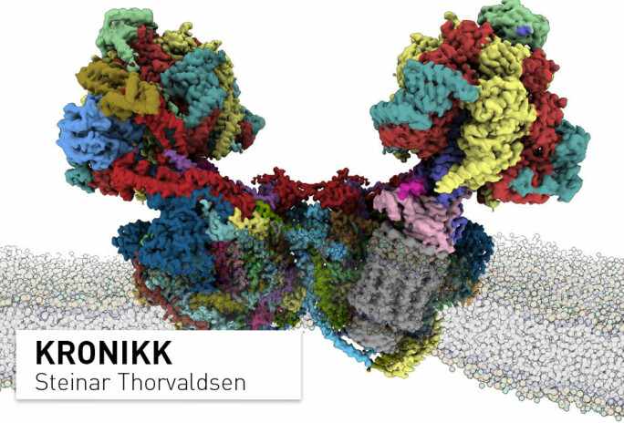 Forskerne ved Stockholms universitet laget nylig dette bildet av ATP-motoren. Dette er en molekylær maskin for energiomsetning i celler, som katalyserer den kjemisk energien og slik lader «batteriene». Motoren er satt sammen av 29 separate proteindeler.