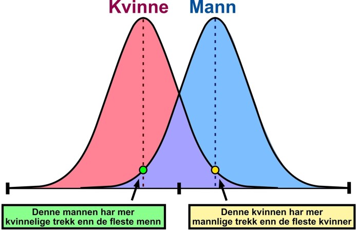 Overlappingen i personlige karakteristikker mellom menn og kvinner er på rundt 30 prosent, ifølge en ny studie. Dette viser at det finnes et vidt spekter av personlighetstrekk innenfor begge kjønnskategorier. Overlappingen i personlige karakteristikker mellom menn og kvinner er på rundt 30 prosent, ifølge en ny studie. Dette viser at det finnes et vidt spekter av personlighetstrekk innenfor begge kjønnskategorier.