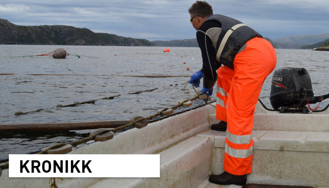 Vi vet per i dag at det er andre årsaker enn fiskernes høsting som har størst negativ innvirkning på laksebestandene. Hvordan kan lokale fiskere delta i utformingen av villaksforvaltningen utover å gis muligheten for å være uenig eller enig i et fiskeforbud? spør kronikkforfatterne. Vi vet per i dag at det er andre årsaker enn fiskernes høsting som har størst negativ innvirkning på laksebestandene. Hvordan kan lokale fiskere delta i utformingen av villaksforvaltningen utover å gis muligheten for å være uenig eller enig i et fiskeforbud? spør kronikkforfatterne.