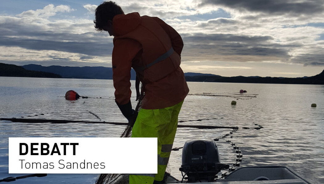 Den eneste måten det norske folk kan få tilgang til villaks på er fra et sjølaksefiske, skriver Tomas Sandes. Den eneste måten det norske folk kan få tilgang til villaks på er fra et sjølaksefiske, skriver Tomas Sandes.