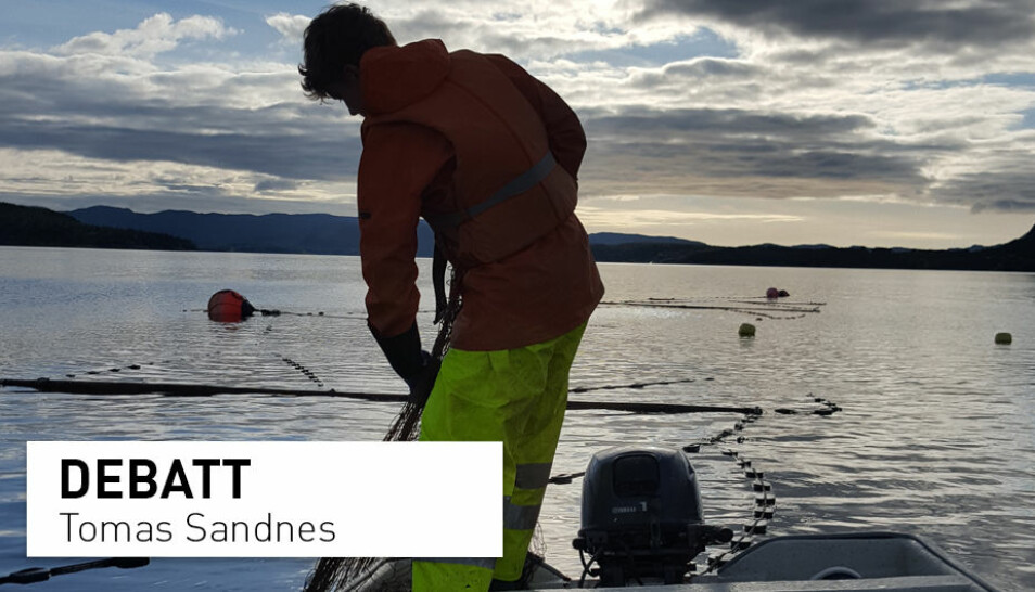 Den eneste måten det norske folk kan få tilgang til villaks på er fra et sjølaksefiske, skriver Tomas Sandes.