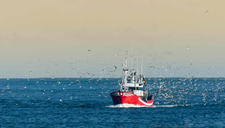 For hvem eier egentlig fiskerettighetene når fisken befinner seg innenfor helt nye territoriale grenser? Det er en floke, skriver Tore Henriksen.
