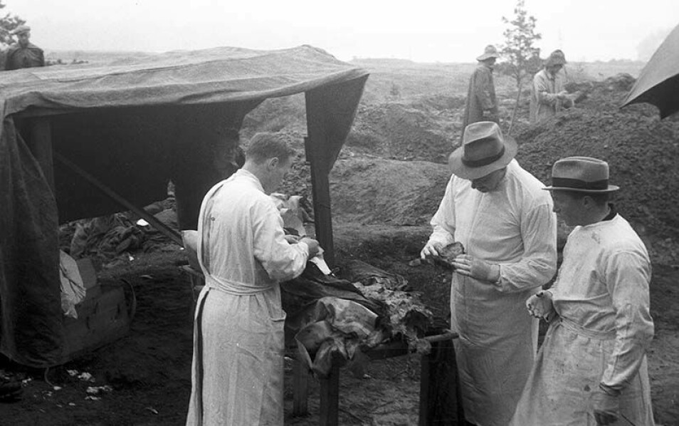 Biletet er frå oppgravinga av sovjetiske krigsgraver i leiren Tennebekken i 1945. 92 graver vart flytta herfrå til Gravdalspollen, der dei er no.
