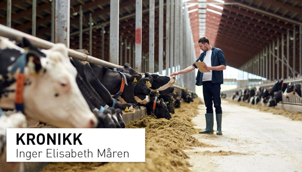 EU vil at europeisk mat skal sette global standard for bærekraft. Her har EU en vei å gå.
Over 50 prosent av voksne i EU er overvektige. I tillegg subsidierer EU miljø- og klimaødeleggende landbruk, skriver Inger Elisabeth Måren. EU vil at europeisk mat skal sette global standard for bærekraft. Her har EU en vei å gå.
Over 50 prosent av voksne i EU er overvektige. I tillegg subsidierer EU miljø- og klimaødeleggende landbruk, skriver Inger Elisabeth Måren.