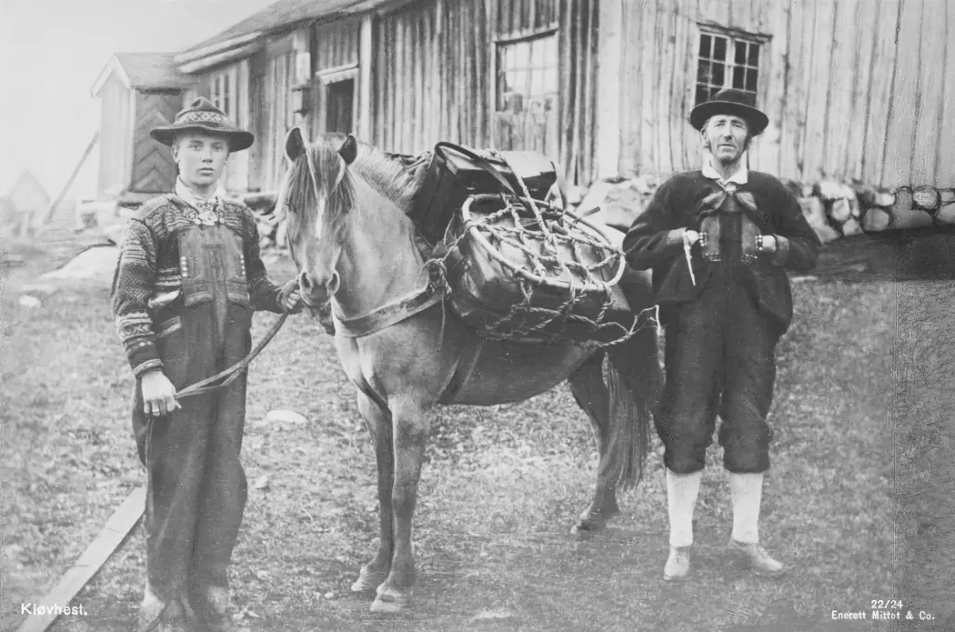 Ein kløvhest med bør på ryggen fotografert i Setesdal på tidleg på 1900-talet
