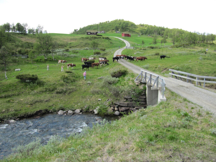 Fjellskogen har tradisjonelt vore hardast nytta naturtypen i Noreg til beiting og utmarksslått. På Spellmovollen i Vangrøftdalen i Os i Østerdalen er det enda seterdrift Fjellskogen har tradisjonelt vore hardast nytta naturtypen i Noreg til beiting og utmarksslått. På Spellmovollen i Vangrøftdalen i Os i Østerdalen er det enda seterdrift