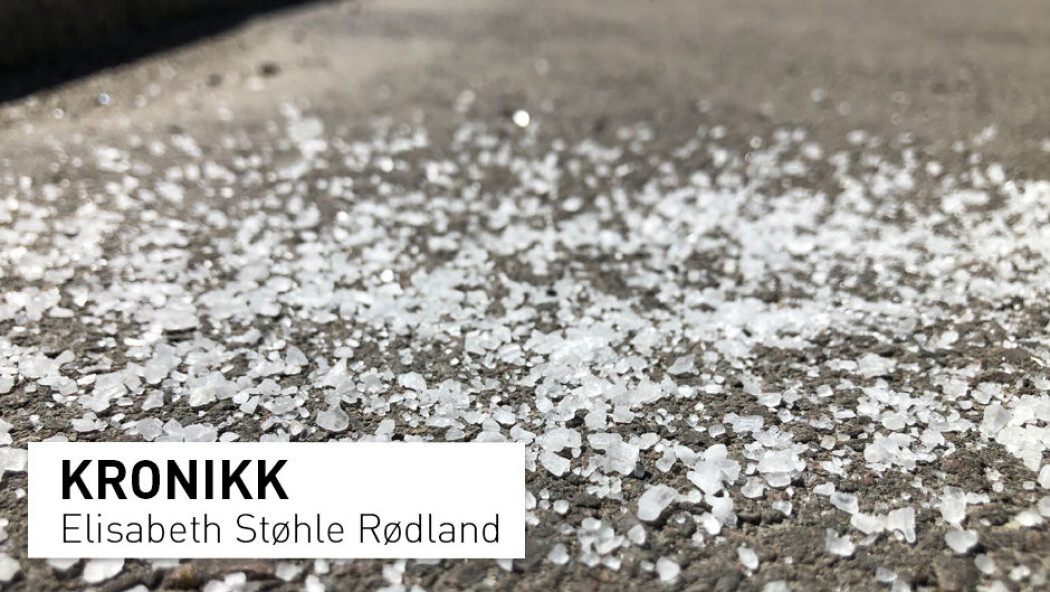 Veisaltet som spres ut på norske veier kan være en kilde til mikroplast. Veisaltet som spres ut på norske veier kan være en kilde til mikroplast.