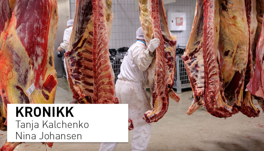 De største pandemiene i moderne tid kan alle spores tilbake til bruk av dyreprodukter, skriver kronikkforfatterne. Bør det innføres en skatt på kjøtt for å kompensere for eventuelle skader kjøttproduksjonen påfører oss? De største pandemiene i moderne tid kan alle spores tilbake til bruk av dyreprodukter, skriver kronikkforfatterne. Bør det innføres en skatt på kjøtt for å kompensere for eventuelle skader kjøttproduksjonen påfører oss?
