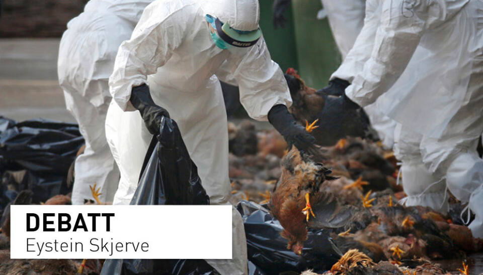Nye influensapandemier kommer til å oppstå i Kina, og Kina må på et vis håndtere det, skriver Eystein Skjerve. Her fra avlivning av høns på et fjærkremarked i Hong Kong i forbindelse med et influensautbrudd.
