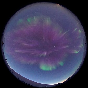 Dagnordlys med dominerende rødt nordlys sett fra Kjell Henriksen Observatoriet ved Longyearbyen. Dagnordlys med dominerende rødt nordlys sett fra Kjell Henriksen Observatoriet ved Longyearbyen.