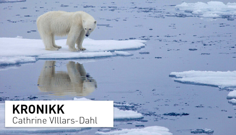 Når den arktiske isen smelter, er det ikke bare jordens globale oppvarming som vil øke, også leveforholdene i Arktis vil endres, skriver Cathrine Villars-Dahl