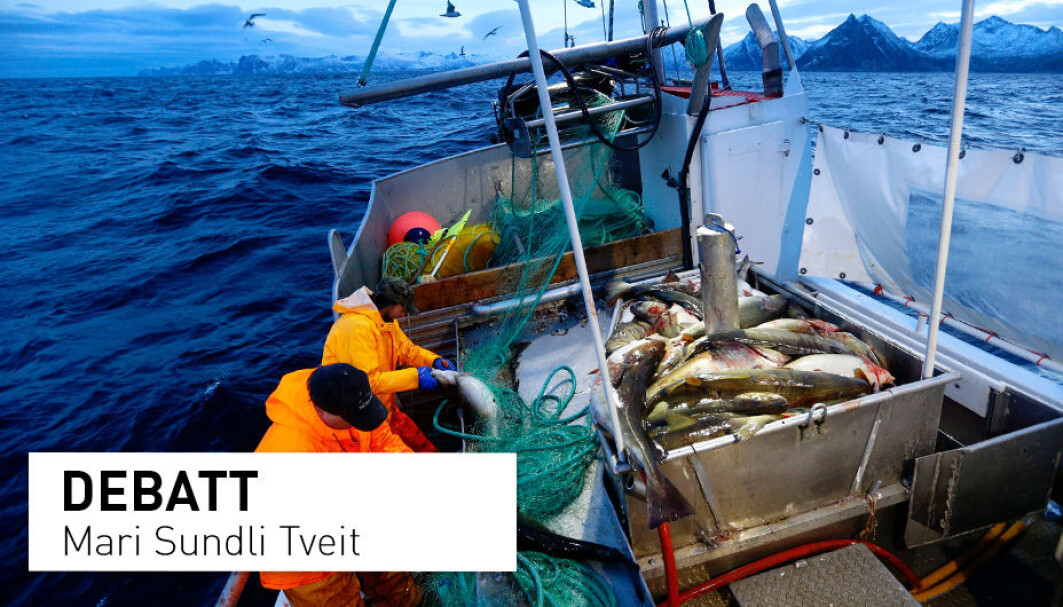 Havet er vår viktigste ressursbank. Vi kjenner antagelig bare en brøkdel av de muligheter havet gir oss til å mette en økende befolkning på en bærekraftig måte, skriver Mari Sundli Tveit. Havet er vår viktigste ressursbank. Vi kjenner antagelig bare en brøkdel av de muligheter havet gir oss til å mette en økende befolkning på en bærekraftig måte, skriver Mari Sundli Tveit.