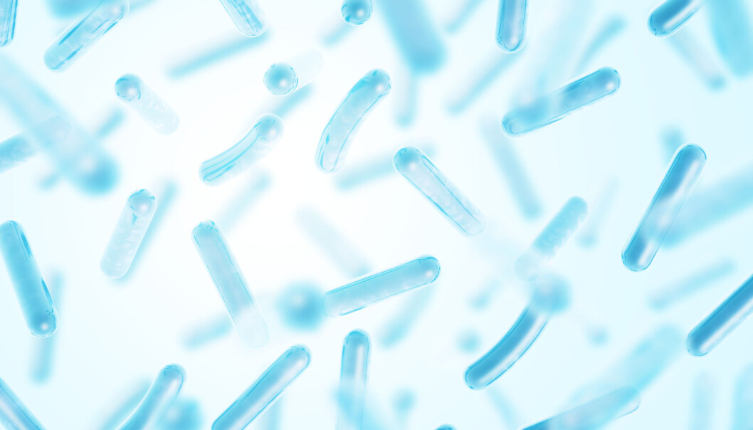 Probiotiske bakterier har egne våpen og beskyttelsesmekanismer, kan de kjempe mot skadelige bakterier og beskytte dyrene mot dem. Probiotika forbedrer dyrehelsen ved å redusere stress og øke reproduksjon. Probiotika har alt! Probiotiske bakterier har egne våpen og beskyttelsesmekanismer, kan de kjempe mot skadelige bakterier og beskytte dyrene mot dem. Probiotika forbedrer dyrehelsen ved å redusere stress og øke reproduksjon. Probiotika har alt!