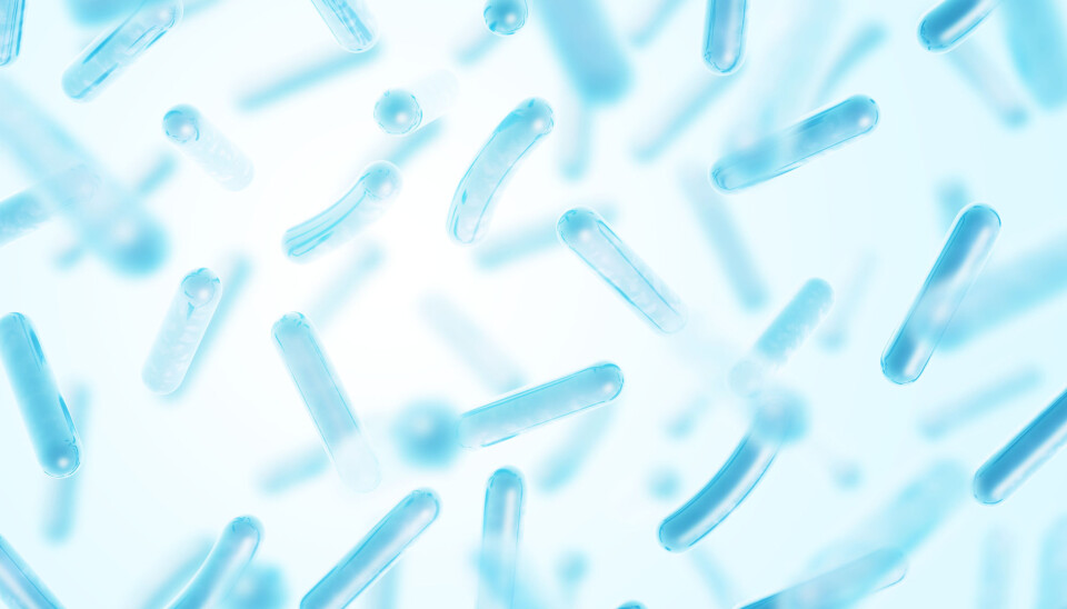 Probiotiske bakterier har egne våpen og beskyttelsesmekanismer, kan de kjempe mot skadelige bakterier og beskytte dyrene mot dem. Probiotika forbedrer dyrehelsen ved å redusere stress og øke reproduksjon. Probiotika har alt!