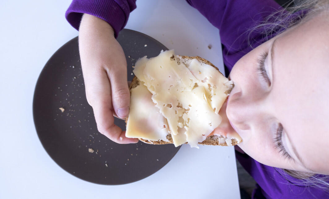 Elevene i skolematprosjektet i Agder fikk et brødmåltid til lunsj hver dag gjennom ett helt år. Nå har forskere undersøkt erfaringene til lærere og elever. Elevene i skolematprosjektet i Agder fikk et brødmåltid til lunsj hver dag gjennom ett helt år. Nå har forskere undersøkt erfaringene til lærere og elever.