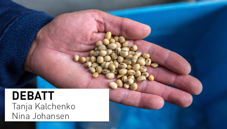 Mengden soya som årlig importeres til Norge for å lage husdyrfôr kan faktisk alene dekke proteinbehovet til tre millioner nordmenn. Derfor blir det meningsløst å snakke om at redusert kjøtt- og meieriforbruk i Norge vil gi økt matimport, skriver innleggsforfatterne.