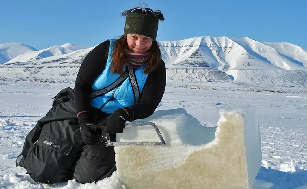 For å kunne forutsi hvordan livet i havet i Arktis vil utvikle seg, har et forskningsprosjekt studert hvordan alger og plankton påvirkes av temperaturforandringer. Her ser vi doktorgradskandidat Ane Cecilie Kvernvik med en isblokk full av isalger i Van Mijenfjorden på Svalbard.