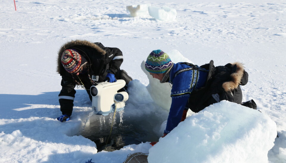 Med dette apparatet har forskerne kunnet filme under isen.