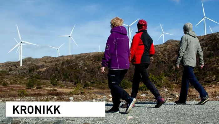 Vi må diskutere hva som rettferdiggjør utbygging av vindkraft i norsk natur