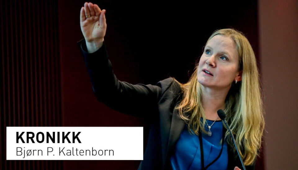 I dag er det bortimot umulig å få finansiert grunnforskning om norsk samfunn og miljø, skriver Bjørn P. Kaltenborn. Han etterlyser en annen politikk fra Forskningsrådet. Avbildet: Administrerende direktør i Forskningsrådet Mari Sundli Tveit.