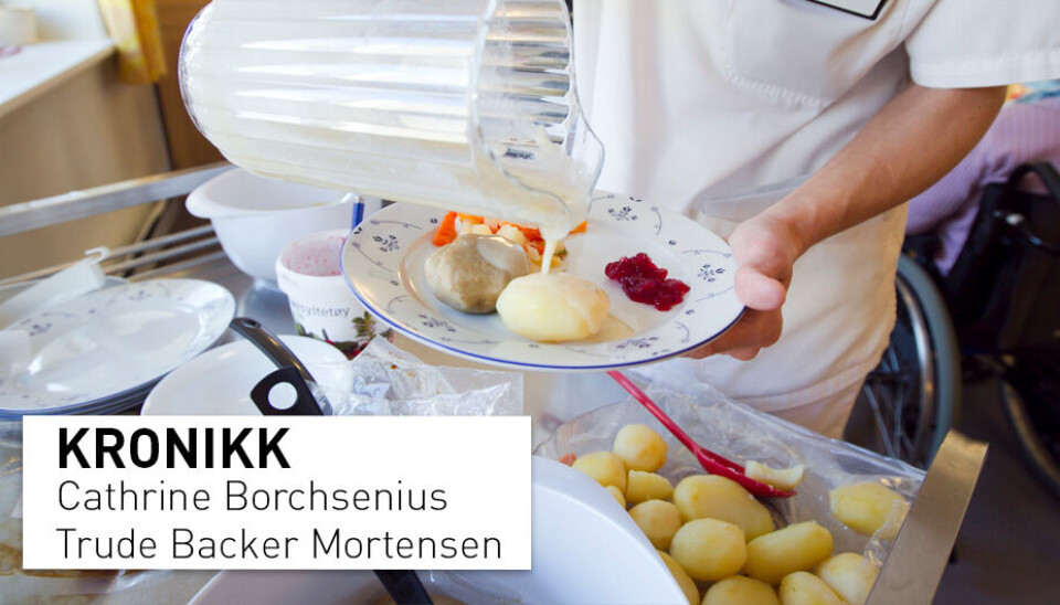 La oss begynne å prioritere eldreomsorgen og ta arbeidet med ernæring blant eldre på alvor, skriver kronikkforfatterne.