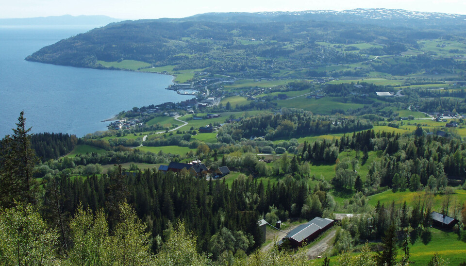 Undersøkelser ved Leksvik ved Trondheimsfjorden har gitt geologene presis kunnskap om hvordan istiden ble avsluttet, og den plutselige stansen i isens tilbaketrekning.