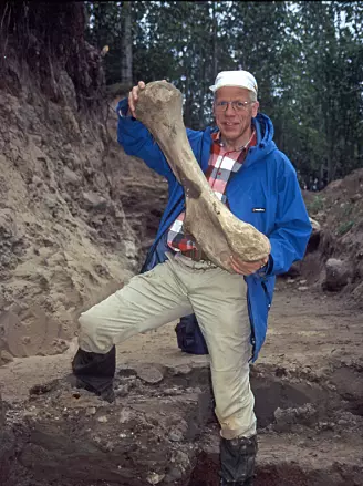 Jeg holder et 33.000 år gammelt lårbein av ullhåret neshorn fra Nord-Russland.