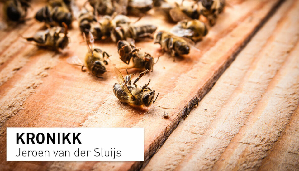 Antallet ville bier har falt drastisk siden 1990. UiB-professor Jeroen van der Sluijs oppfordrer forskere til å ta ansvar for å redde insektene som er garantister for verdens matproduksjon.