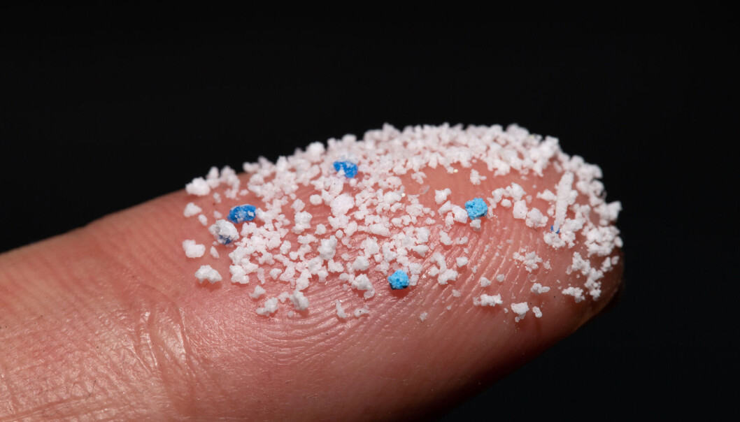Jungelen av informasjon om mikroplast kan være vanskelig å navigere i. Vi som jobber med mikroplast til daglig, ser betydelige utfordringer med å ivareta kvaliteten på kunnskap som deles – og hvordan den brukes videre, skriver to forskere ved Norsk institutt for vannforskning. Jungelen av informasjon om mikroplast kan være vanskelig å navigere i. Vi som jobber med mikroplast til daglig, ser betydelige utfordringer med å ivareta kvaliteten på kunnskap som deles – og hvordan den brukes videre, skriver to forskere ved Norsk institutt for vannforskning.