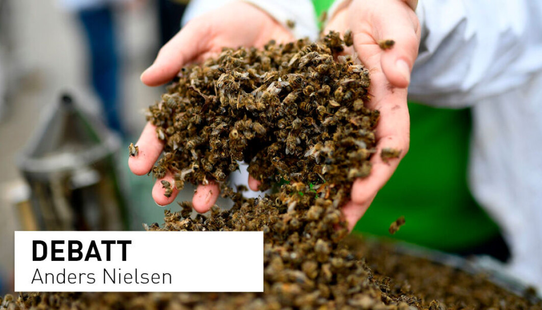 Bruken av plantevernmidler er utvilsomt en av grunnene til at bier og andre innsekter er på tilbakegang. Men det er ikke nødvendigvis forskernes feil, mener Anders Nielsen. Bruken av plantevernmidler er utvilsomt en av grunnene til at bier og andre innsekter er på tilbakegang. Men det er ikke nødvendigvis forskernes feil, mener Anders Nielsen.