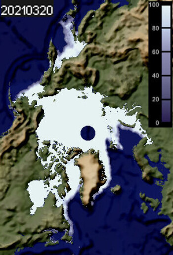 Figur 1. Den maksimale utbredelsen av isen rundt Nordpolen på vinterstid, målt i mars 2021. Figur 1. Den maksimale utbredelsen av isen rundt Nordpolen på vinterstid, målt i mars 2021.