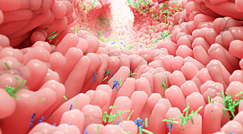 Kan styrket bakterieflora gjøre kroppen mer motstandsdyktig mot korona?