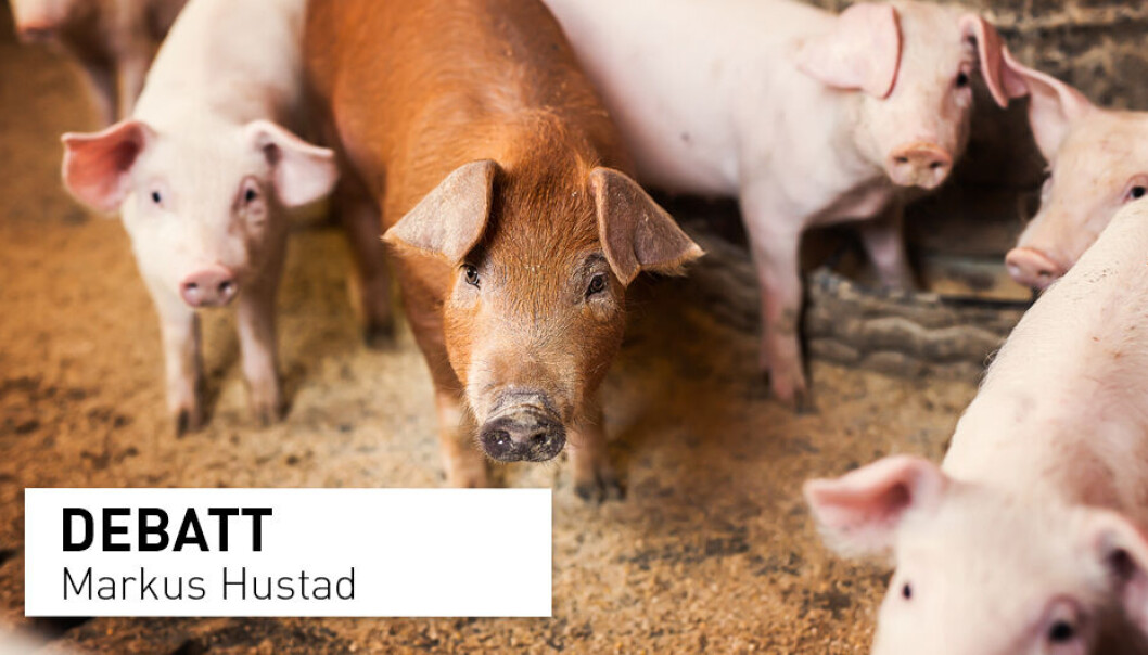 Forskning om antibiotikabruk i landbruket må formidles presist, skriver Markus Hustad i Økologisk Norge. Forskning om antibiotikabruk i landbruket må formidles presist, skriver Markus Hustad i Økologisk Norge.