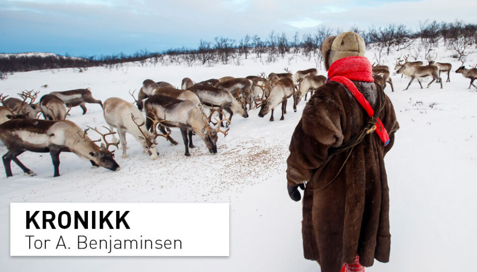 NINAs forskere har tydeligvis bestemt seg en gang for alle om at reineierne har for mange rein. Slik har de i flere tiår vært det vitenskapelige alibiet for en politikk som går ut på å redusere antall rein, og dermed i praksis også reindriftens rolle og utbredelse i Norge, skriver kronikkforfatteren..