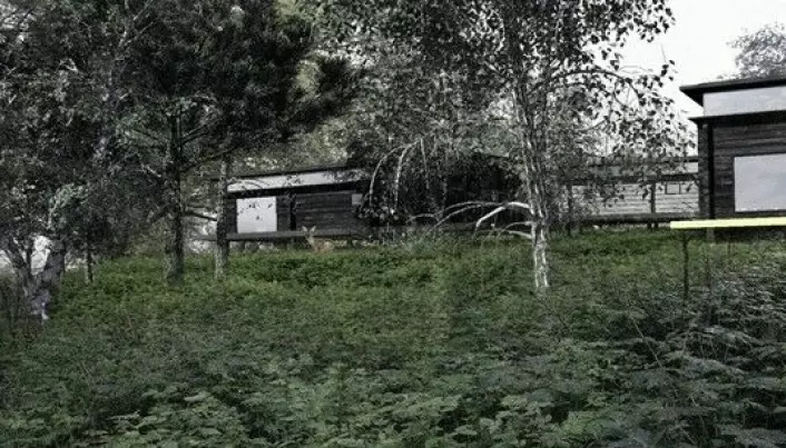 Prosjektet Grønn Fjellhageby plasserte hyttene på peler i et skrånede terreng for å bevare mest mulig av vegetasjonen.