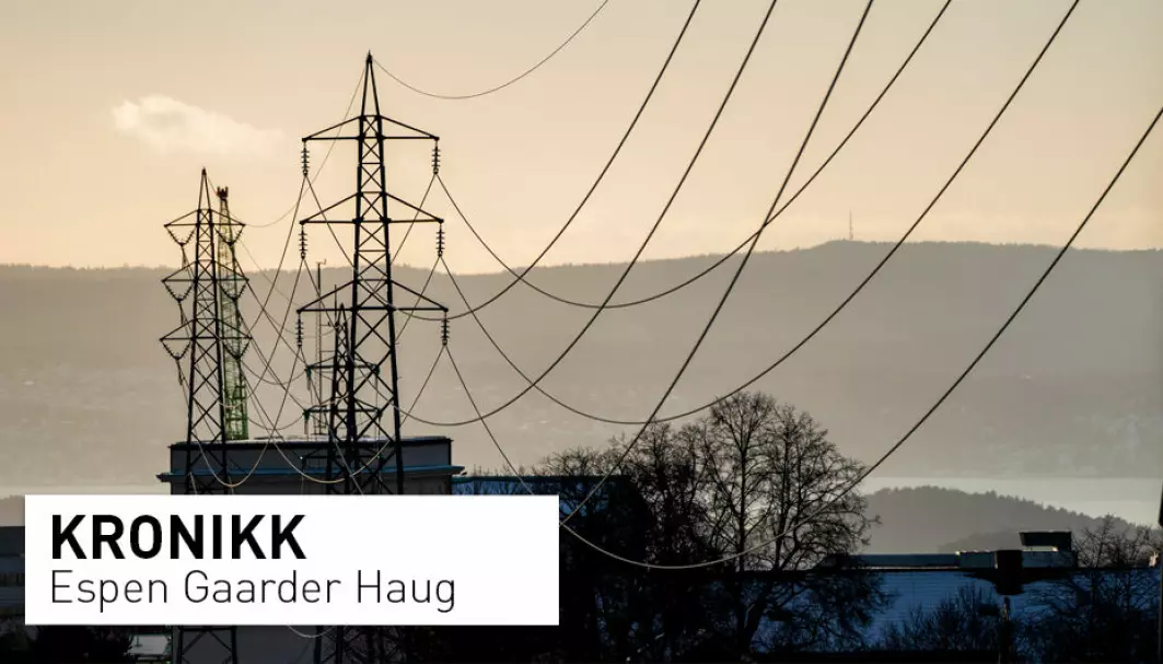Flere forsvarer strømmarkedet som et velfungerende marked vi ikke må røre. Det stemmer ikke, mener professor Espen Gaarder Haug..